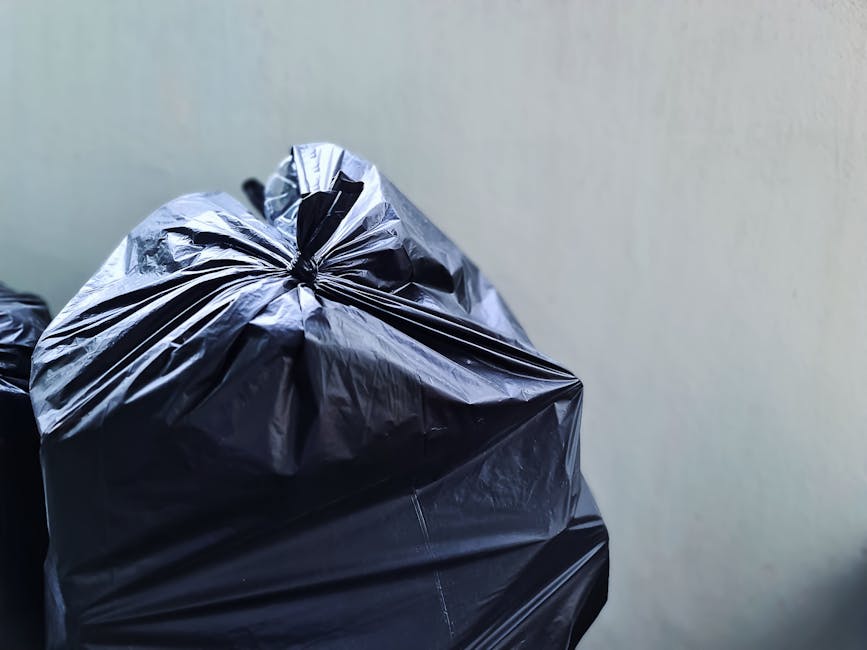 A row of four large wheelie bins positioned along a paved pathway adjacent to a brick wall, with each bin featuring a distinct coloured lid: green, blue, red, and grey from the foreground to the backg